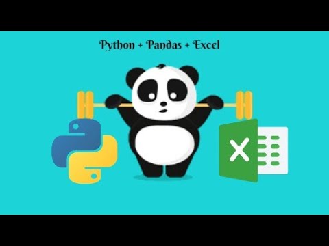 How to read an Excel file and Use Python and Pandas to Work With Excel | Read Description