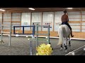 Working Equitation Masters Level double Slalom