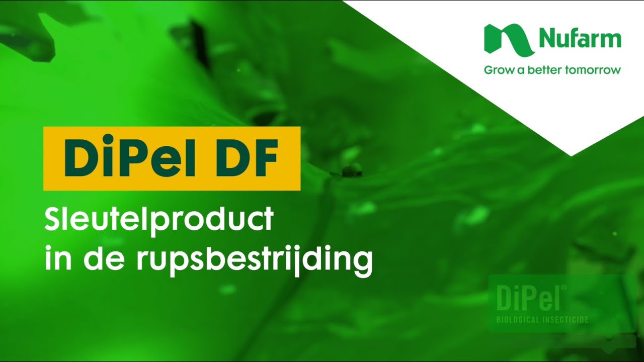 DiPel DF, sleutelproduct in de rupsbestrijding