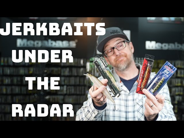 【Akira】PLACEBOプレセボ／RNF-SNAPPER 5’9” Our 5 Favorite Under The Radar Japanese Jerkbaits! - YouTube