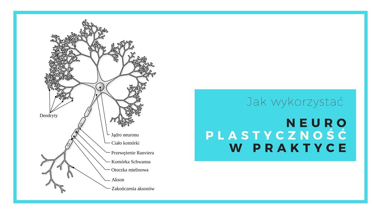 Neuroplastyczność w praktyce - dlaczego pacjenci nie wykonują prac domowych