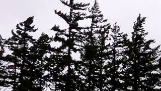 A Glimpse at a 'Bad Weather' Day in Bellingham, Washington