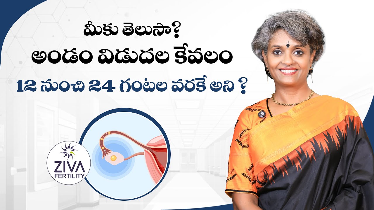 అండం ఎన్ని రోజులు జీవిస్తుంది | Natural Pregnancy In Telugu | Egg Survival |  Dr C Suvarchala | Ziva