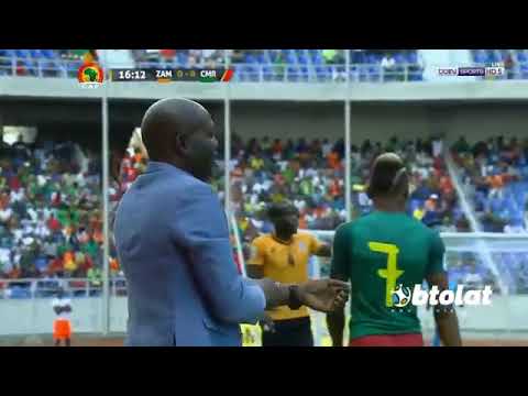 مسخره لقطة كوميدية في مباراة زامبيا والكاميرون شاهد ماذا فعل المدرب