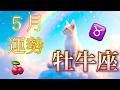 【牡牛座】5月の運勢❤️神回！！ちょっとこれは最高すぎる😳シンクロ神展開🌈牡牛座🌕新月の恩恵🙌🙌愛の大復活❤️‍🔥急展開🌈ハッピーナビゲート💐マンスリー　2026年　タロット