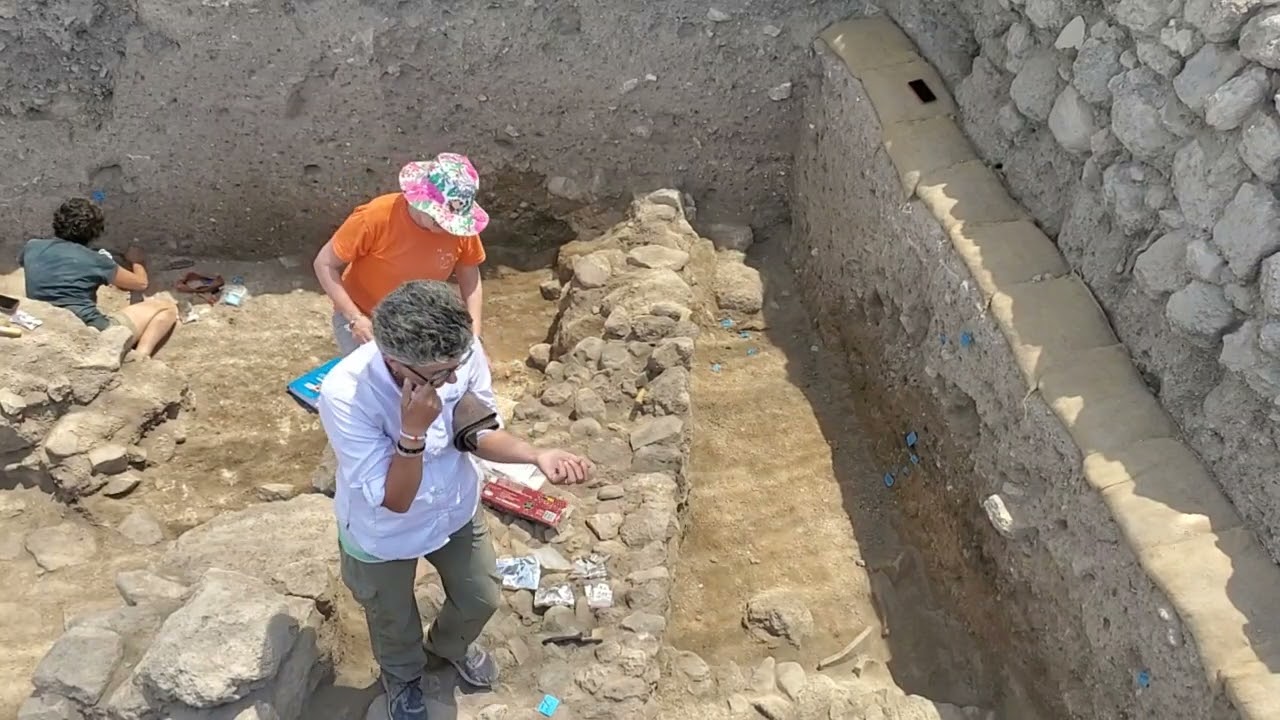 Shimron 2022 Area 24 End of Season Overview