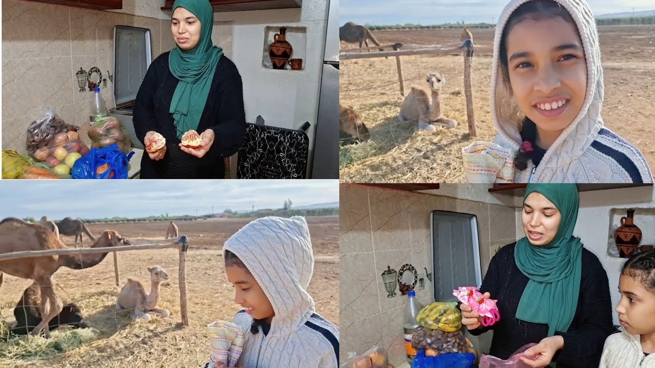 فيديو جديد شاركنا معكم الاجواء بالسوق الثلاثاء بوفكران عثمان الخضر والفواكه🥰🥰💯💯#wissal_ali 