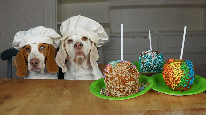 Dogs Make Candy Apples: Funny Dogs Maymo & Potpie ...