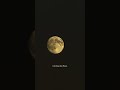 moon shoot #tech #technology