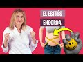 POR QUÉ ENGORDA el ESTRÉS | Aumento de peso debido al estrés | Nutrición y Dietética