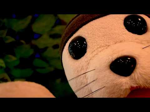 You Got Lost in the Forest.  A Fluffy Seal Found You.  🦭🌳🌲 | Cozy ASMR