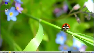 Detailed Review of PCLinuxOS Mate Desktop