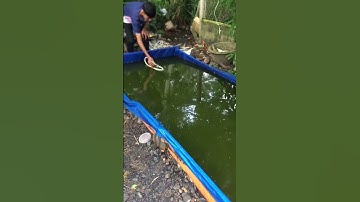 Thử ghe ngo điên điển