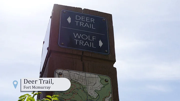 Hiking the Deer Trail in Fort McMurray