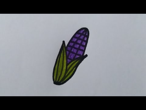 วีดีโอ: วิธีการวาดม่วง