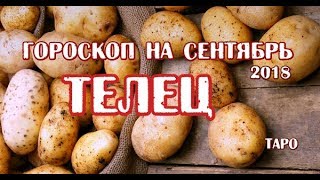 Телец. Гороскоп на сентябрь 2018 года на картах таро.