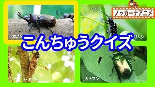 幼児&子ども向けのクイズ・なぞなぞ。知育にもぴったり！