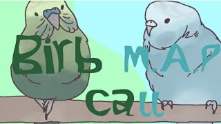 ||BIRB MAP CALL ((OPEN 1/10))||