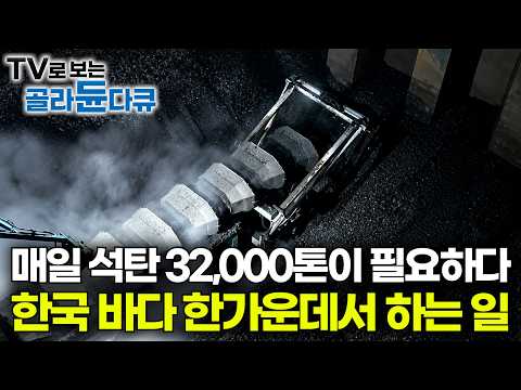 Pouring coal from massive cargo ships in sub-zero temperatures. Inside the thermal power plant fu...