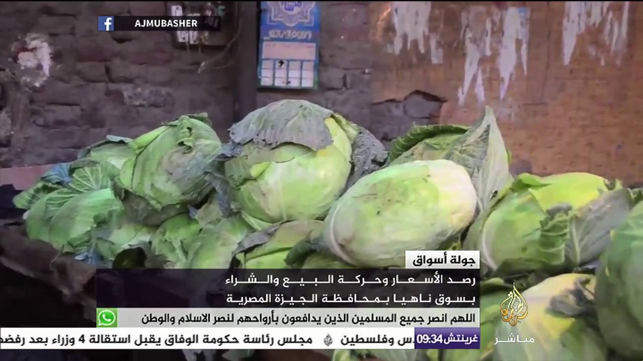 جولة الأسواق.. حركة البيع والشراء في سوق ناهيا بمحافظة الجيزة المصرية