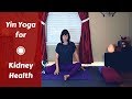 Yin yoga for kidney  bladder health  yin yoga for legs back  hips 35 mins