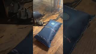 Must-Have Dehumidifier Essentials