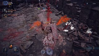 ELDEN RING NIGHTREIGN Run With Oni and Areo