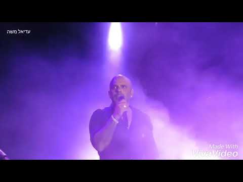 אייל גולן פרחים במדבר 