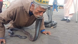 روپورطاج مع أجنبي طبيب خبير أفاعي 🐍🪱ياربي السلامة 🙏