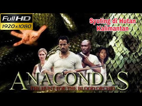 Film Terbaik | ANACONDAS 2 2014 | Syuting di Hutan Kalimantan