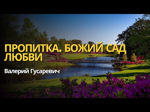 Пропитка. Божий сад Любви.