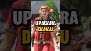 Dahau Ceremony Of East Kalimantan