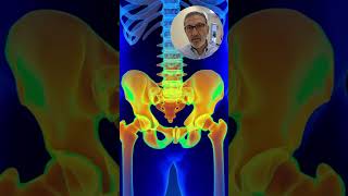 What Is Biomechanical Pain from Car Accidents Dr Arkam Rehman Explains Sunshine 