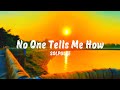 No One Tells Me How Solpulse Lyrics Video 