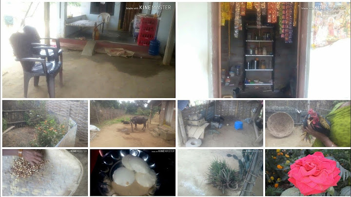 My mom house tour in village// మా అమ్మవాల ఇల్లు ఎలా  ఉందో చూడండి