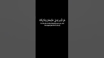 سعد الغامدي   سورة الاحزاب آية  41   42   43   44    كرومات سوداء القرآن