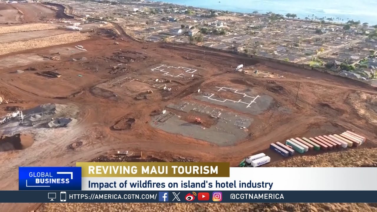 Global Business: Maui Tourism in the Wake of Wildfires