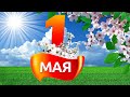 С ПЕРВЫМ МАЯ! ОЧЕНЬ КРАСИВОЕ ПОЗДРАВЛЕНИЕ С 1 МАЯ! С ДНЕМ ВЕСНЫ И ТРУДА. МУЗЫКАЛЬНАЯ ОТКРЫТКА