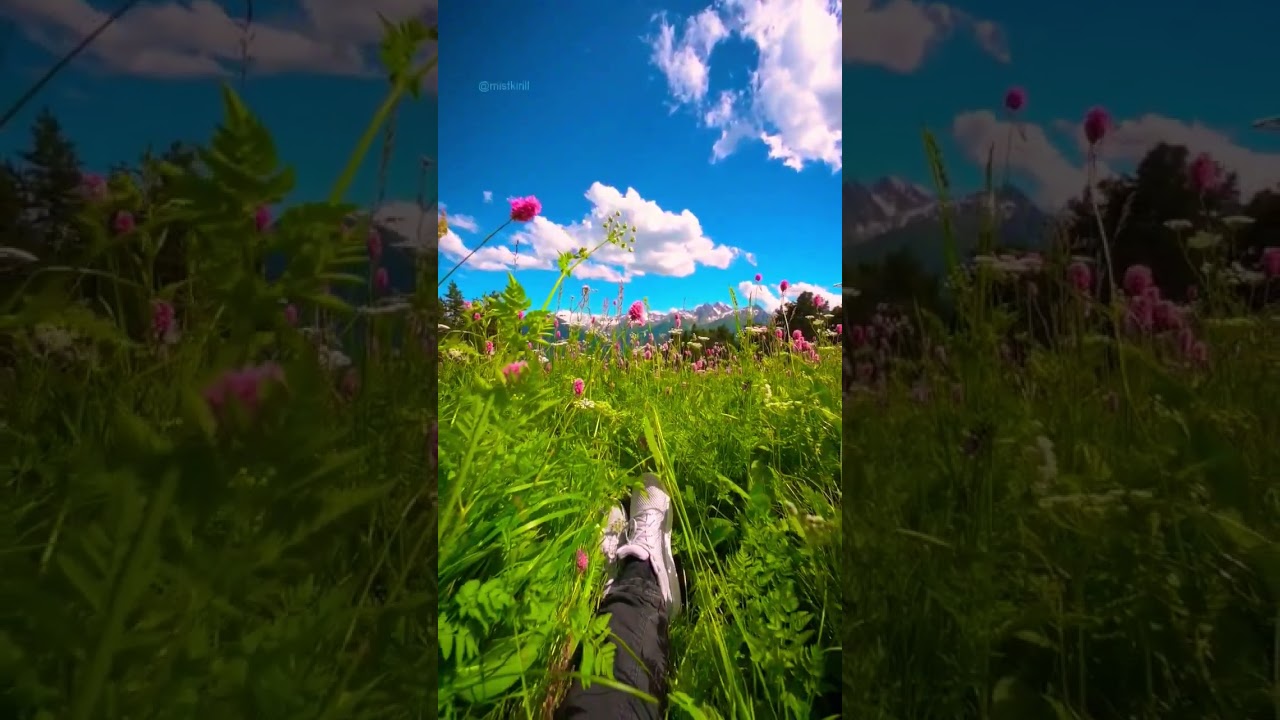 Falling in love with nature😍🥰 