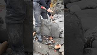 At around **185 million years old**, these fossils were beautifully preserved