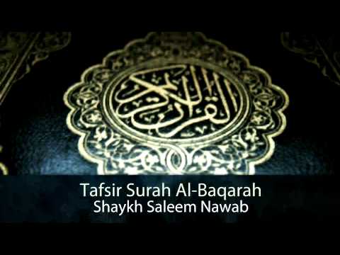 Tafsir: Surah Al-Baqarah - Part 6 [Verse 16-17] - Shaykh Saleem Nawab [Audio]