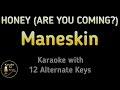 Mneskin  honey are u coming karaoke instrumental lower higher female  original key