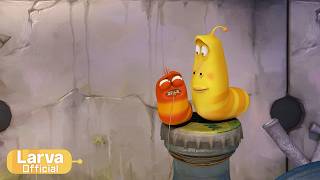 cavity animation compilation larva tuba official