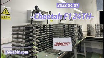 Dokebit cheetah F1-24th appearance video