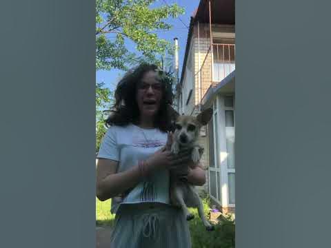 У меня камЫш - YouTube