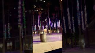 SAN JOSE CALIFORNIA AT NIGHT