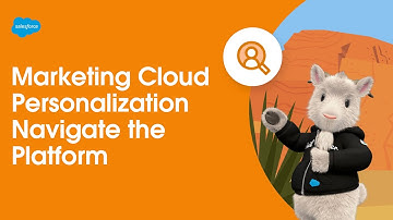 Navigate the Platform | Marketing Cloud Personalization