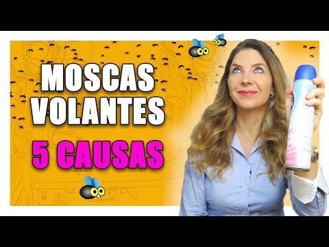 Vídeo: As moscas volantes podem ir embora?