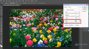 Photoshop Tutorial : Using Selective Color in Photoshop CS6