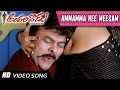 Andarivaadu Movie || Ammamma Nee Meesam Full Video Song || Chiranjeevi, Tabu, Rimi Sen